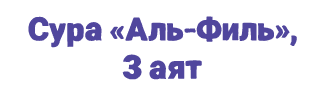 Сура «Аль Филь», 3 аят