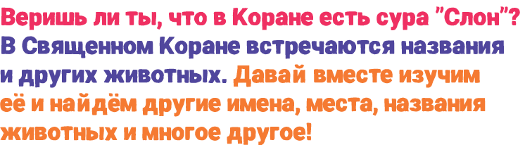 Веришь ли ты, что в Коране есть сура \“Слон\"? В Священном Коране встречаются названия и других животных. Давай вмест...