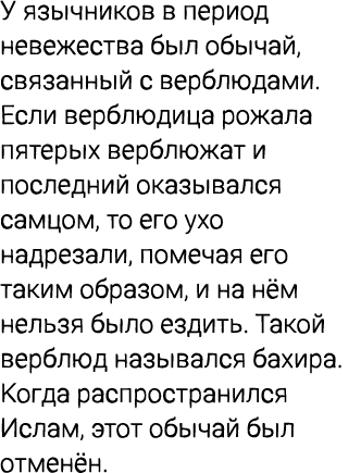 У язычников в период невежества был обычай, связанный с верблюдами. Если верблюдица рожала пятерых верблюжат и послед...