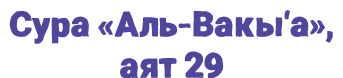 Сура «Аль Вакы‘а», аят 29