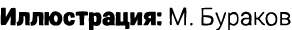 Иллюстрация: M. Бураков